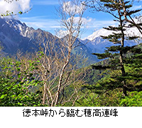 写真:徳本峠から臨む穂高連峰