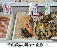 写真:伊良部島の漁港の食堂にて
