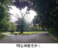 写真:明治神宮を歩く