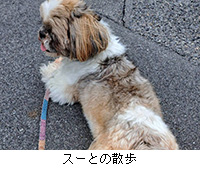 写真:スーとの散歩