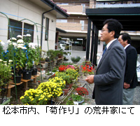 写真：松本市内、「菊作り」の荒井家にて