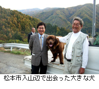写真：松本市入山辺で出会った大きな犬