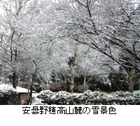 ʐ^Fܖ䍂R[̐iF