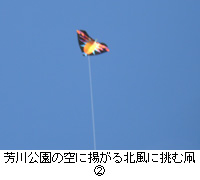 ʐ^FF̋ɗgkɒޑQ