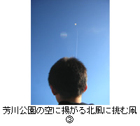 写真：芳川公園の空に揚がる北風に挑む凧３