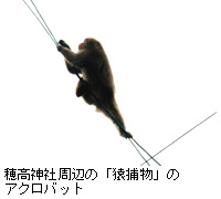 写真：穂高神社周辺の「猿捕物」のアクロバット