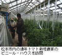 写真：松本市内の通年トマト栽培農家のビニール・ハウスを訪問