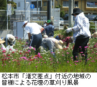 写真：松本市「渚交差点」付近の地域の皆様による花壇の草刈り風景