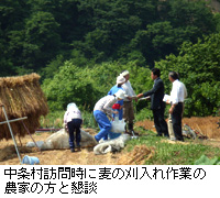 写真：中条村訪問時に麦の刈入れ作業の農家の方と懇談