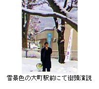 ʐ^FiF̑咬wOɂĊX