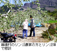 写真：麻績村のリンゴ農家の方とリンゴ畑で懇談