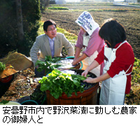 写真：安曇野市内で野沢菜漬に勤しむ農家の御婦人と