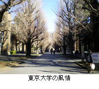 写真：東京大学の風情
