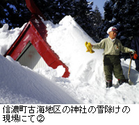 写真：信濃町古海地区の神社の雪除けの現場にて2
