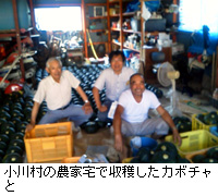 写真：小川村の農家宅で収穫したカボチャと