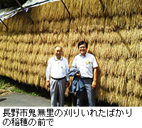 写真：長野市鬼無里の刈りいれたばかりの稲穂の前で
