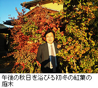 写真：午後の秋日を浴びる初冬の紅葉の庭木