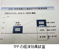 写真：TPPの経済効果試算