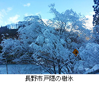 写真：長野市戸隠の樹氷