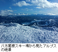 写真：八方尾根スキー場から見たアルプスの絶景