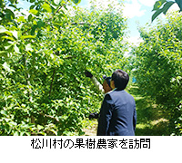 写真：松川村の果樹農家を訪問