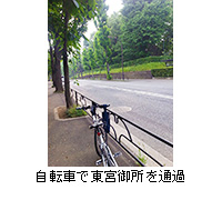 写真：自転車で東宮御所を通過