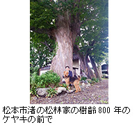写真：松本市渚の松林家の樹齢800年のケヤキの前で