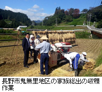 写真：長野市鬼無里地区の家族総出の収穫作業