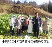 写真：小川村の野沢菜収穫の農家の方と