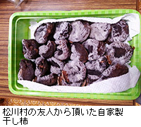 ʐ^F쑺̗Fl璸Ɛ`