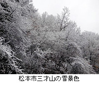 写真：松本市三才山の雪景色