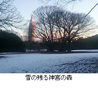 写真：雪の残る神宮の森