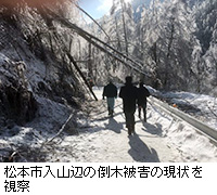 写真：松本市入山辺の倒木被害の現状を視察
