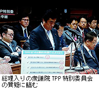 写真：総理入りの衆議院TPP特別委員会の質疑に臨む