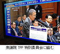 写真：衆議院TPP特別委員会に臨む