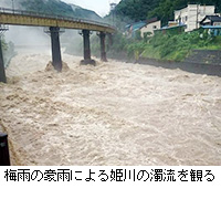 写真：梅雨の豪雨による姫川の濁流を観る