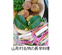 写真：山形村名物の長芋料理