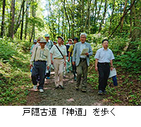 写真：戸隠古道「神道」を歩く