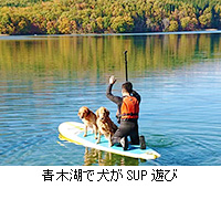 写真：青木湖で犬がSUP遊び