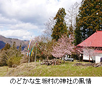 写真：のどかな生坂村の神社の風情