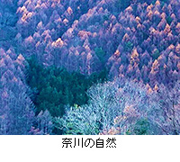 写真：奈川の自然