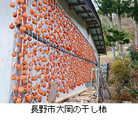 写真：長野市大岡の干し柿