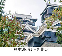 写真：熊本城の復旧を見る