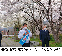 写真：長野市大岡の桜の下で小松氏が遊説