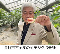 写真：長野市大岡産のイチジクは美味