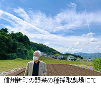 写真：信州新町の野菜の種採取農場にて