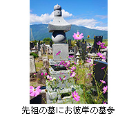 写真：先祖の墓にお彼岸の墓参