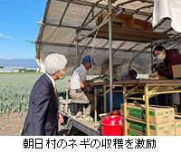 写真：朝日村のネギの収穫を激励