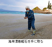写真：海岸漂着軽石を手に取る