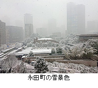 写真：永田町の雪景色